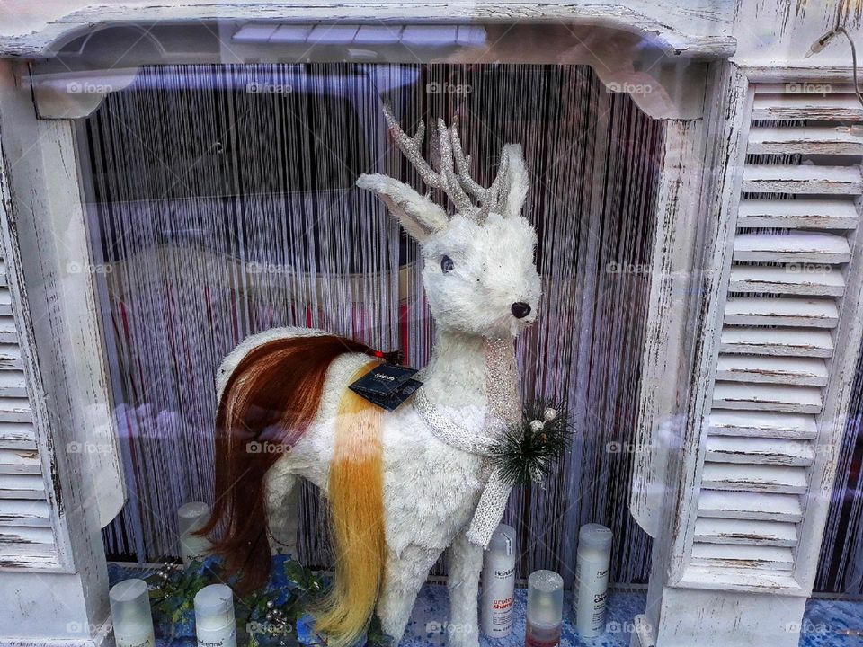 Reindeer in the shop window