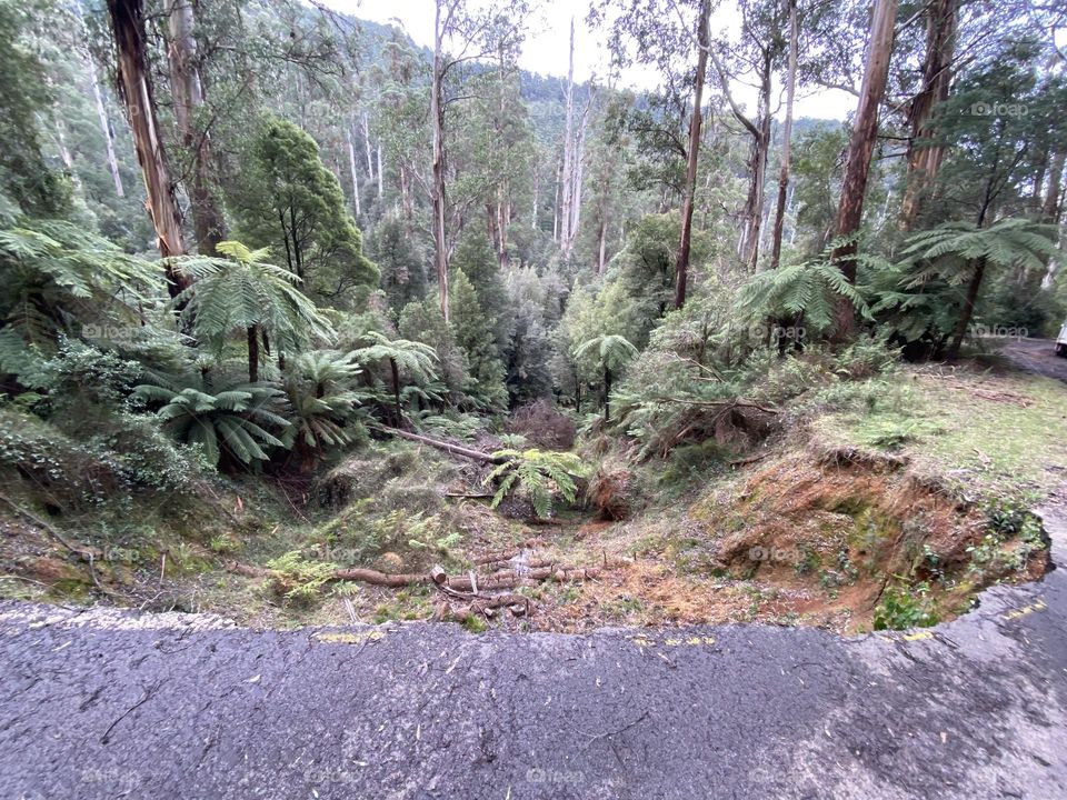 A land slide tearing the road back in to the jungles of Victoria Australia 