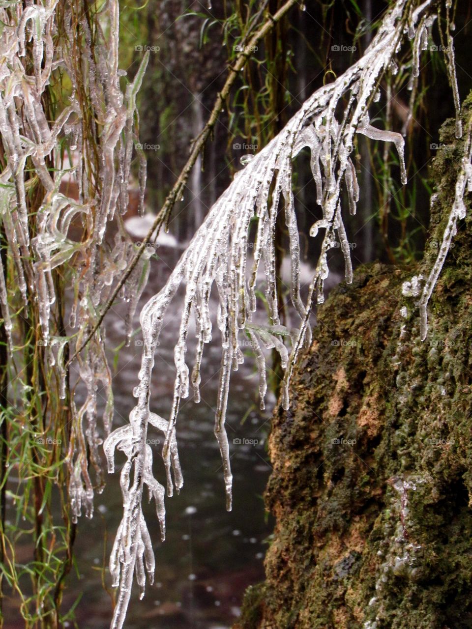 on a cold and frosty day