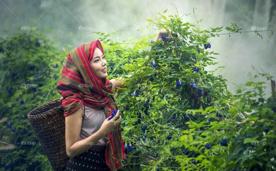Beautifull view in Indonesia - Coffee