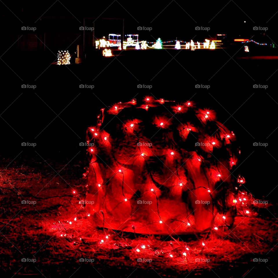 A decorative red glowing Christmas light web draped over a bush at night. 