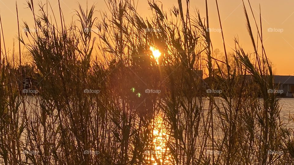 Evening Colors Backlit Horizon, bright Sun sparklers, Diamonds, shine on Rough Lake Waters. Over seasoned Cat Tails getting Super Thin as Winters’ Grip Continues.