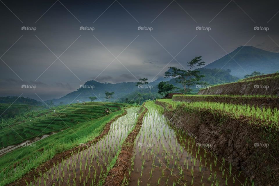 cloudy morning in selotapak terraces