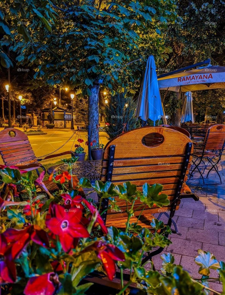 The stylish secrets of cafe interiors