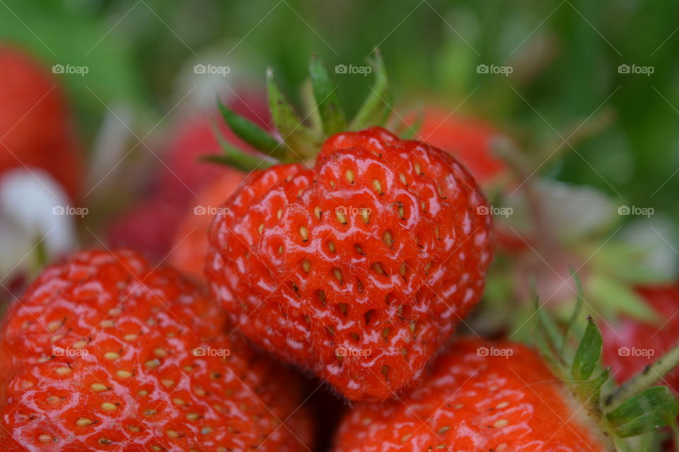 Close-up of strawberry