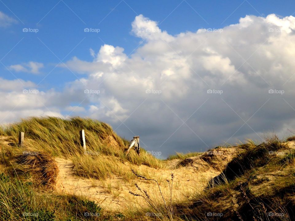 sand dunes in the North of France 