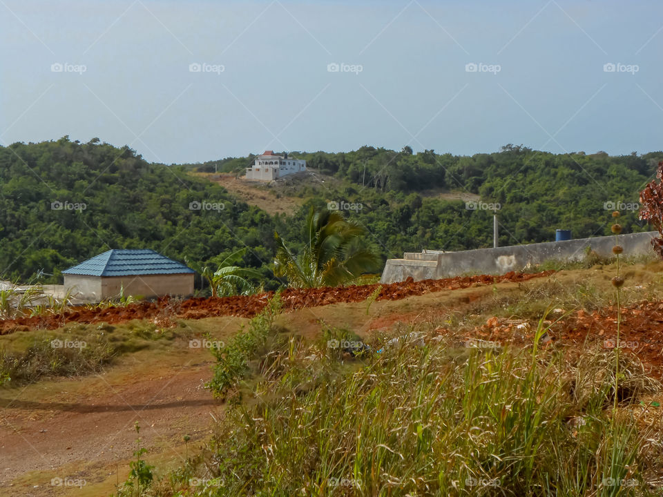 View The Hills