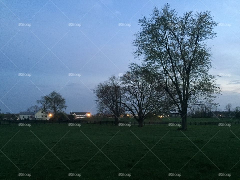 3 trees. 3 trees on the farm.