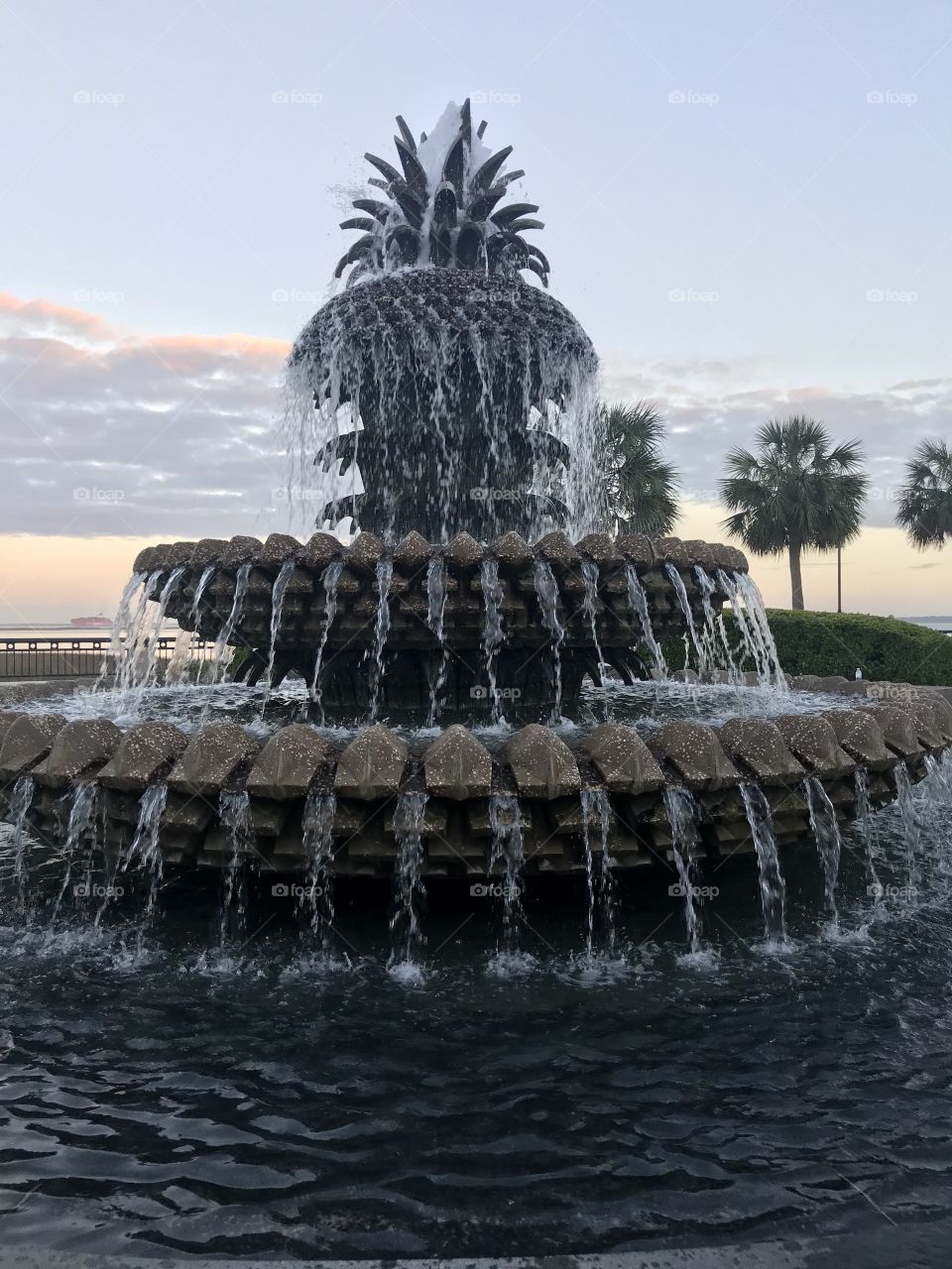 Pineapple fountain 