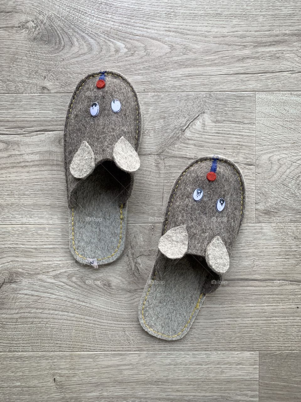 Home shoes with mouse face