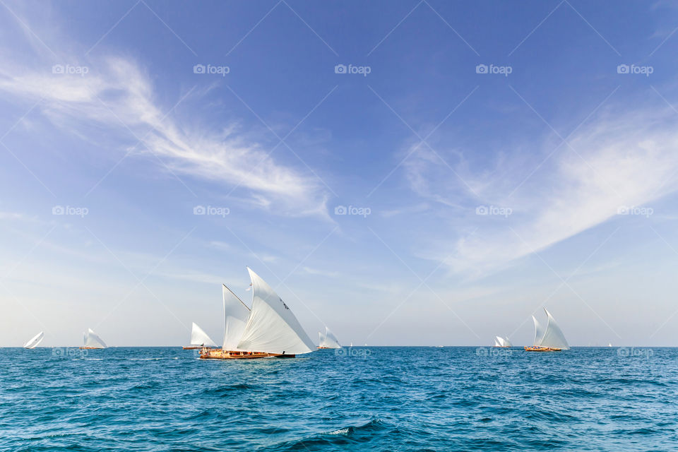 Dhow race in Abu Dhabi