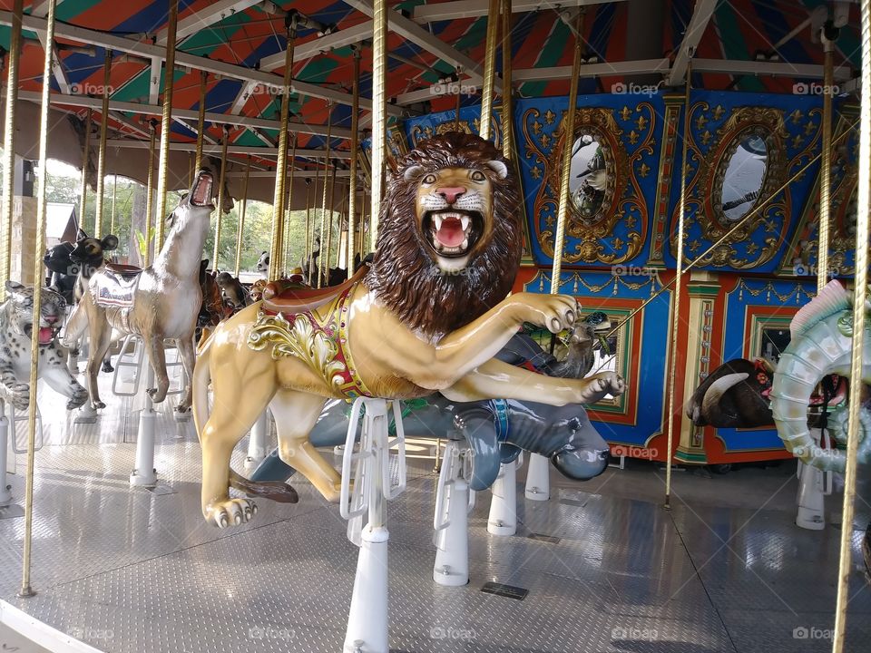 Carousel lion