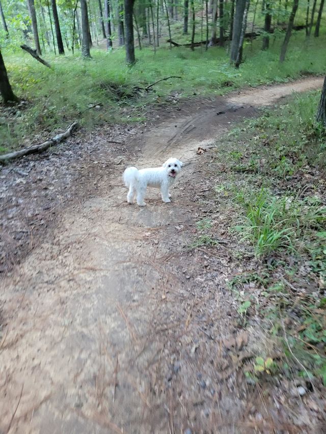 Moses hiking