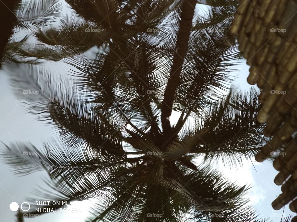 Reflection...
.Reflection..