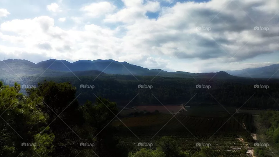landscape