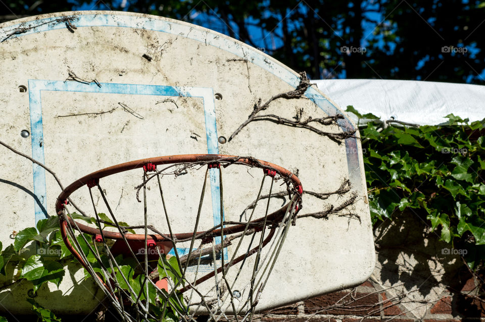 Vintage old basketball net nostalgic memories shooting hoops conceptual photography nature taking over with old dried vines and leaves on brick wall