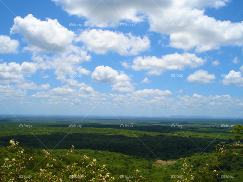 Scenic view of green landscape against cloudy sky