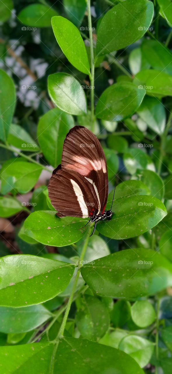 contraste indiscutível 👏