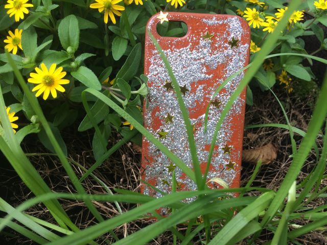 Flower, Nature, Summer, No Person, Flora