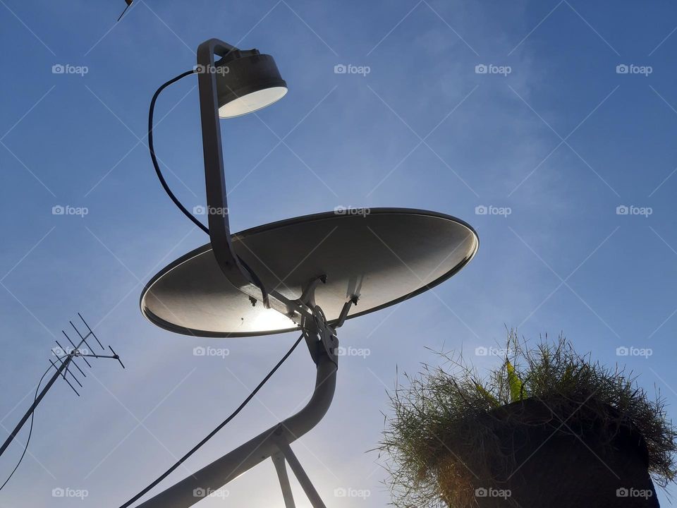 antenna, parabolic, and a plant in pot