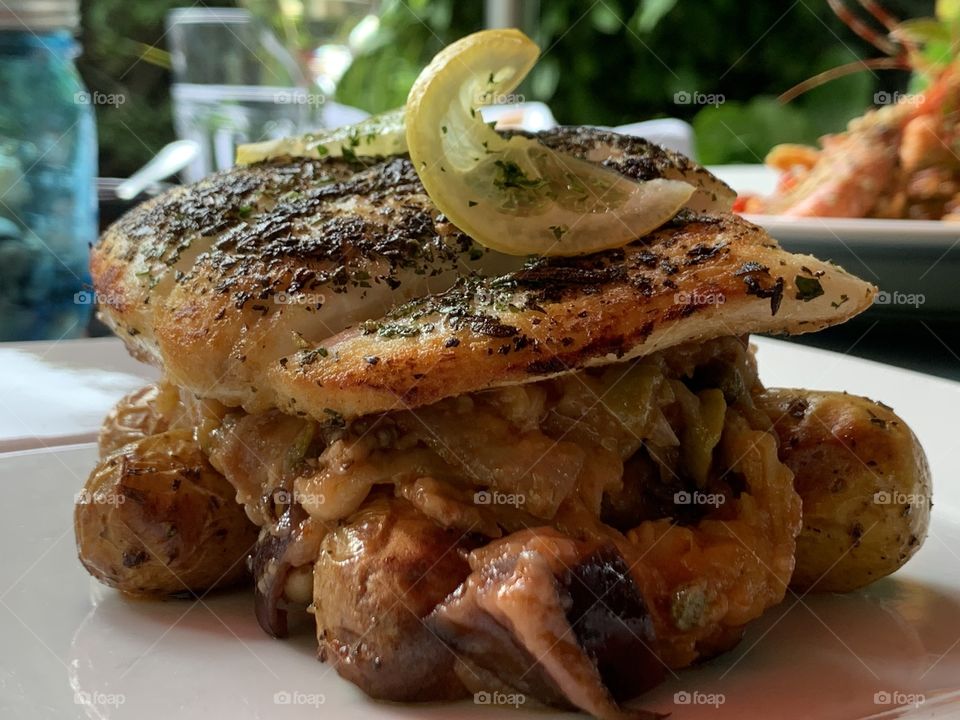 Grilled salmon over cooked veggies in a plate