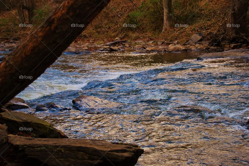 Scenic view of river