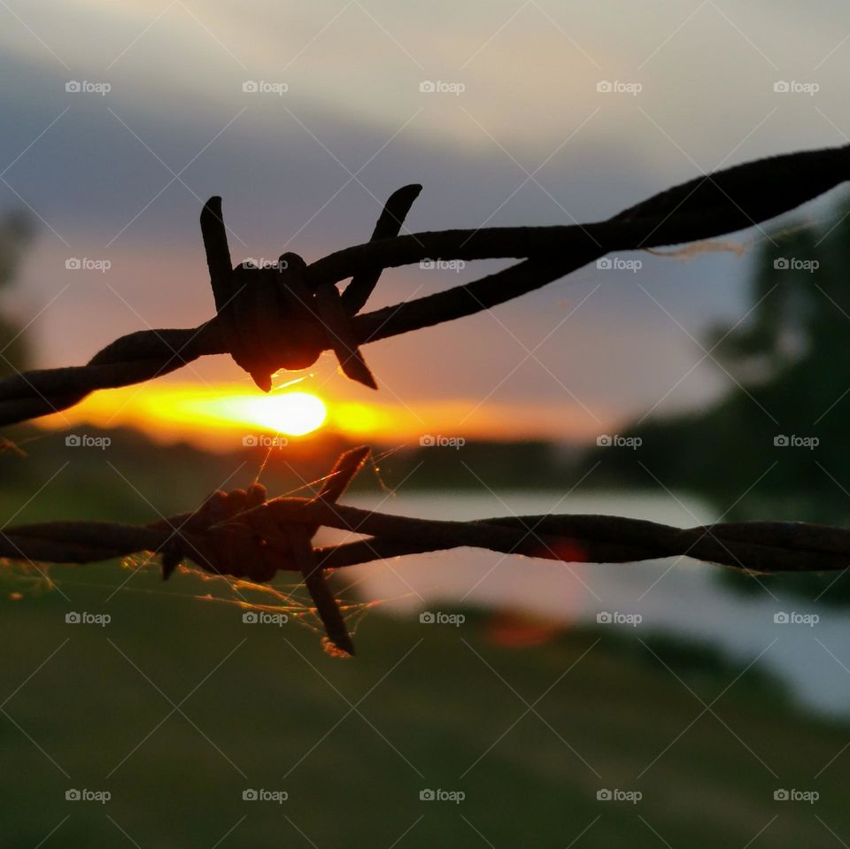 Sunset through barbed wire...