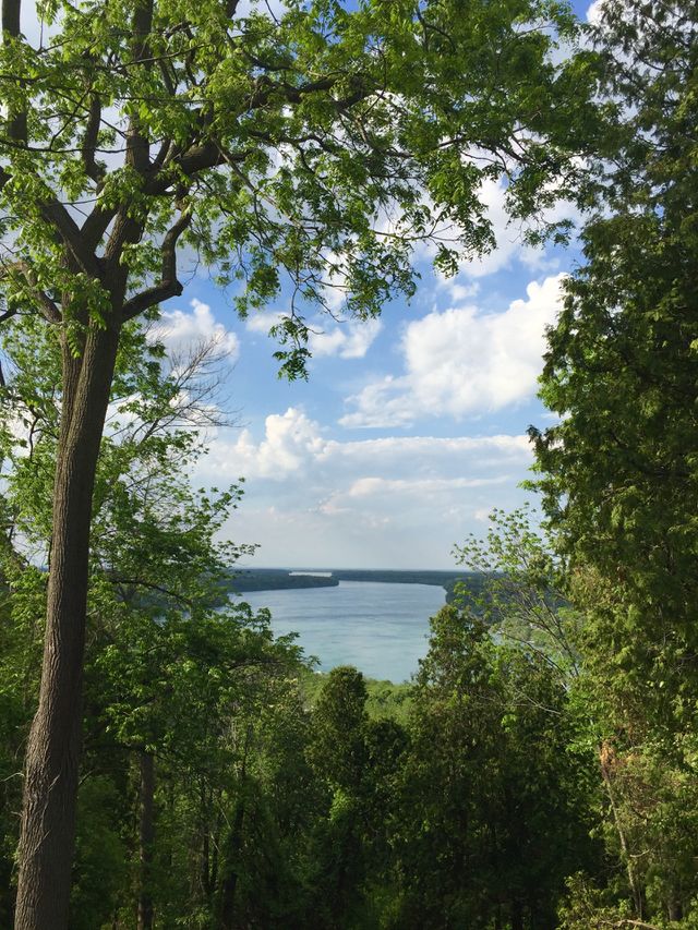 Heart of nature