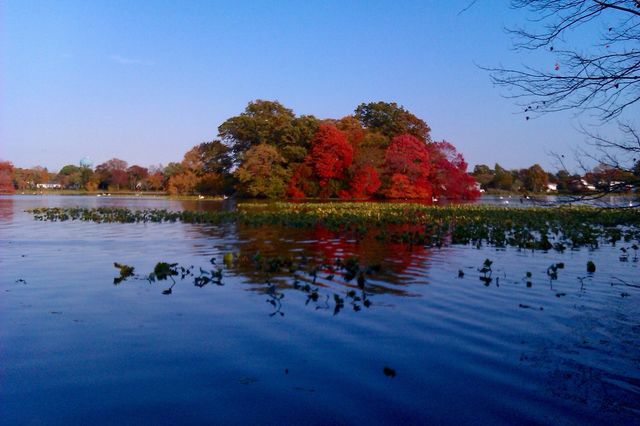 Massapequa 