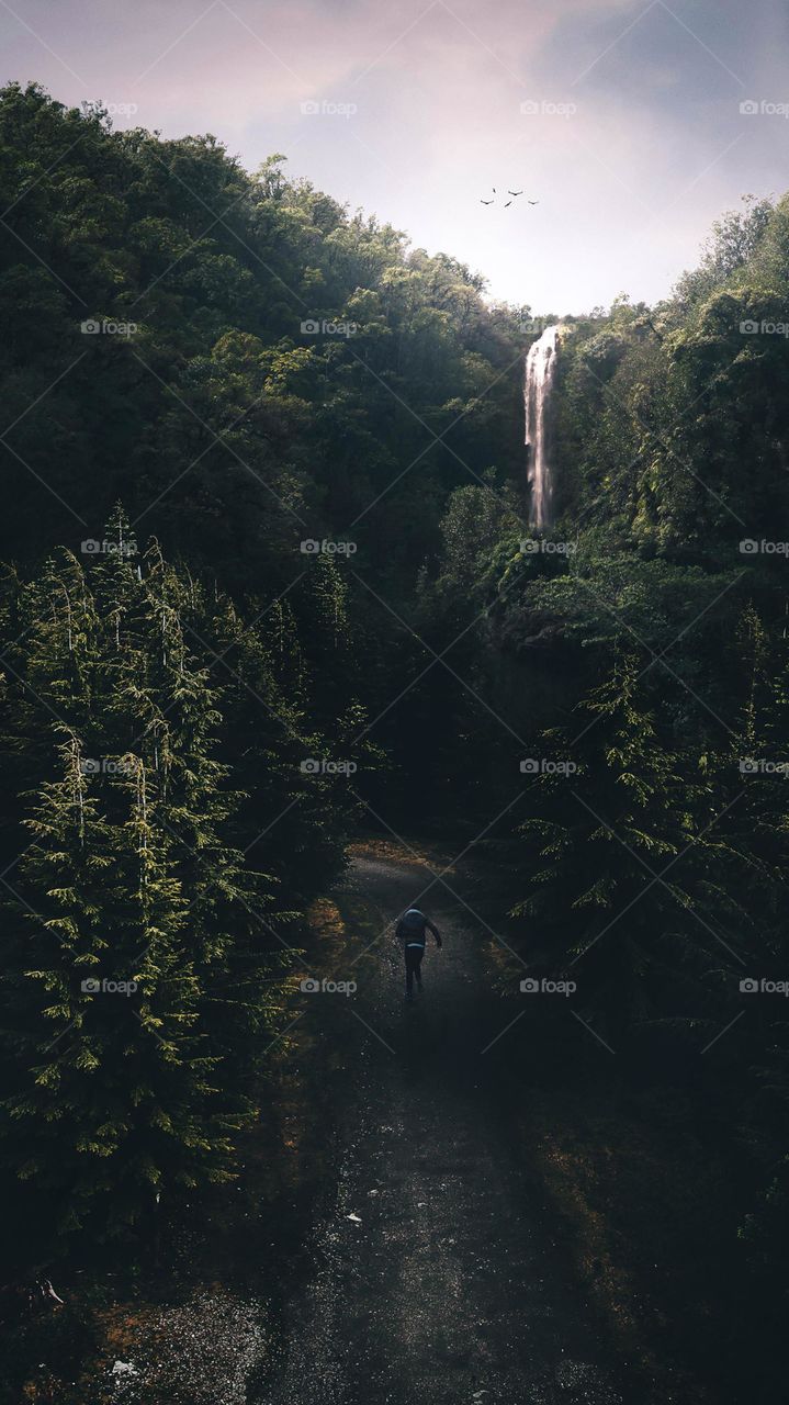 Naturel beauty mountain