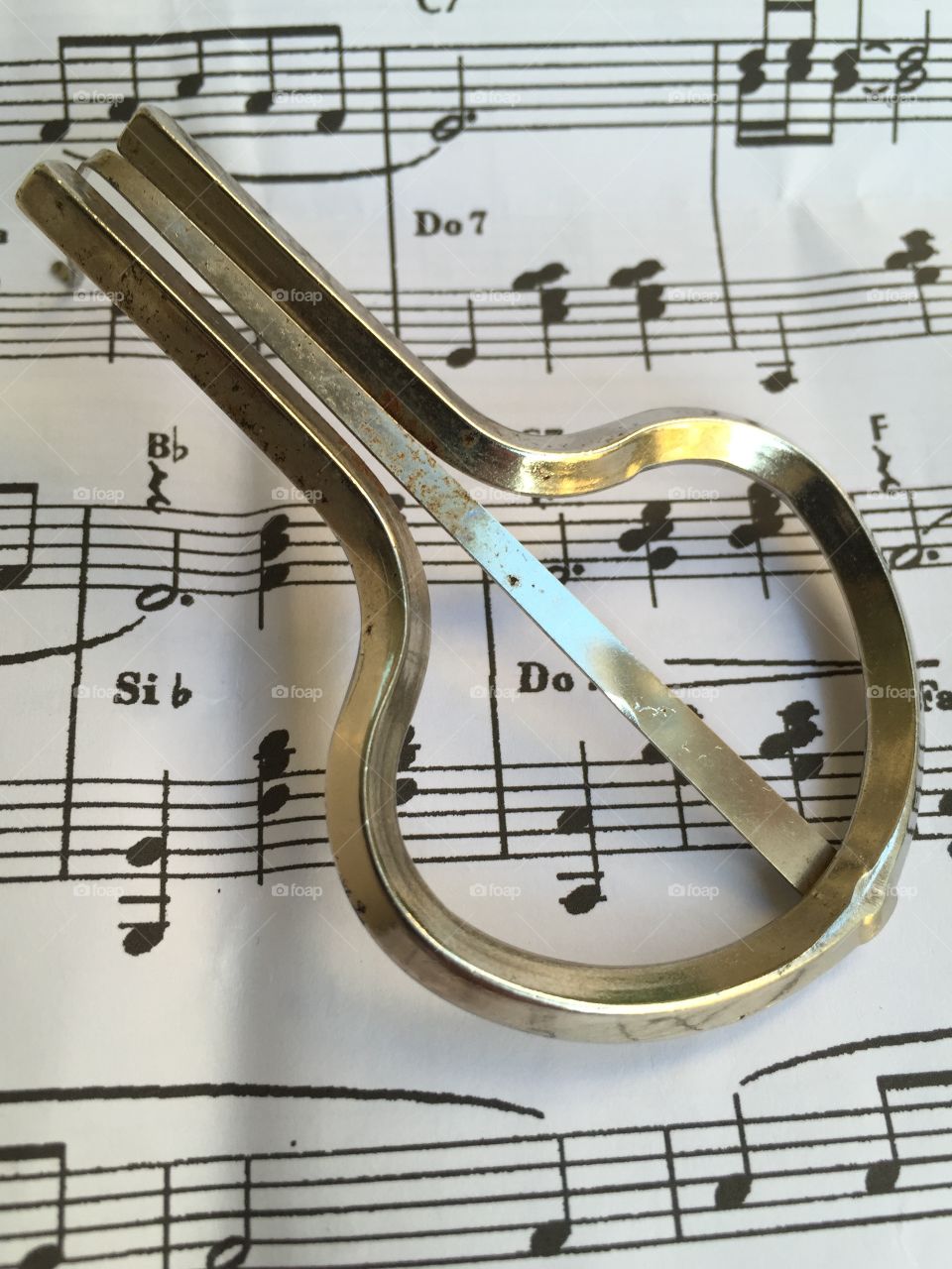 Jew`s harp, closeup view onver musical score
