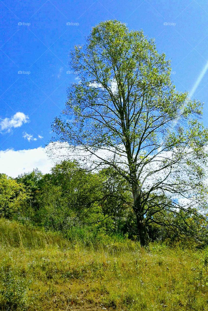 A Country Sky