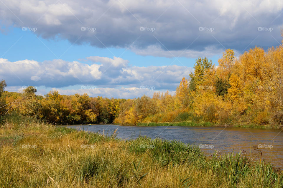 landscape, nature, trees, bushes, grass, plants, reeds, river, water, autumn, sky, clouds, forest, sun, пейзаж, природа, деревья, кусты, трава, растения, камыши, река, вода, осень, небо, облака, лес, солнце