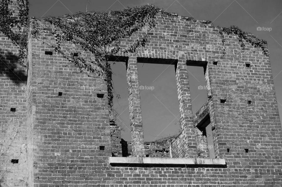 Abandoned House 