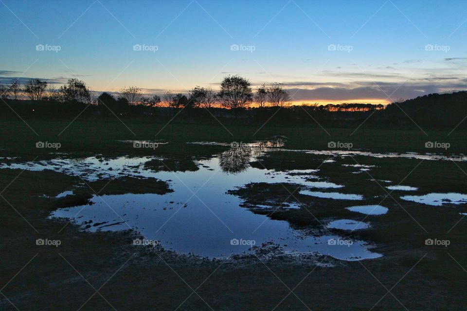 Trees reflected on lake during sunset