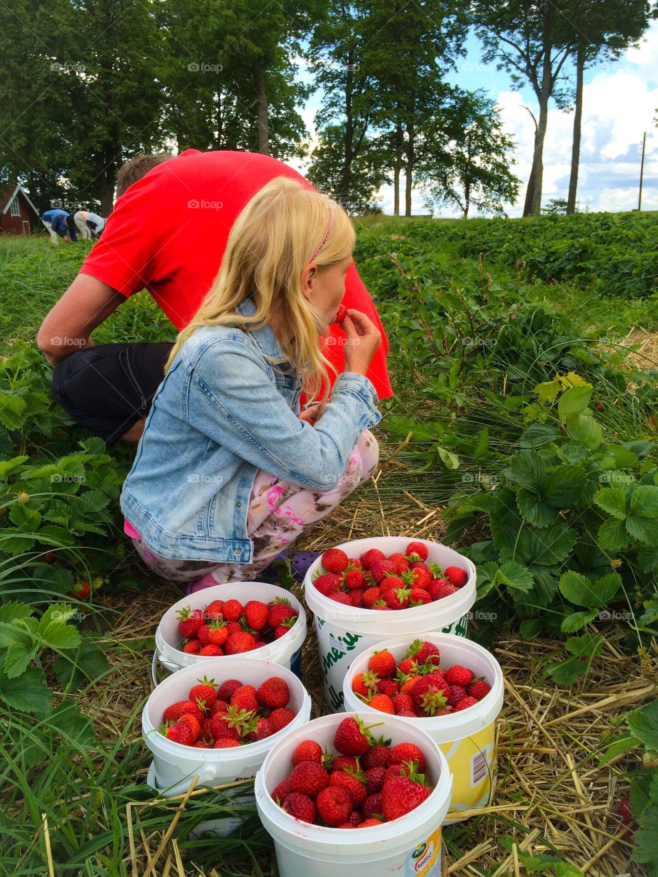 Strawberries