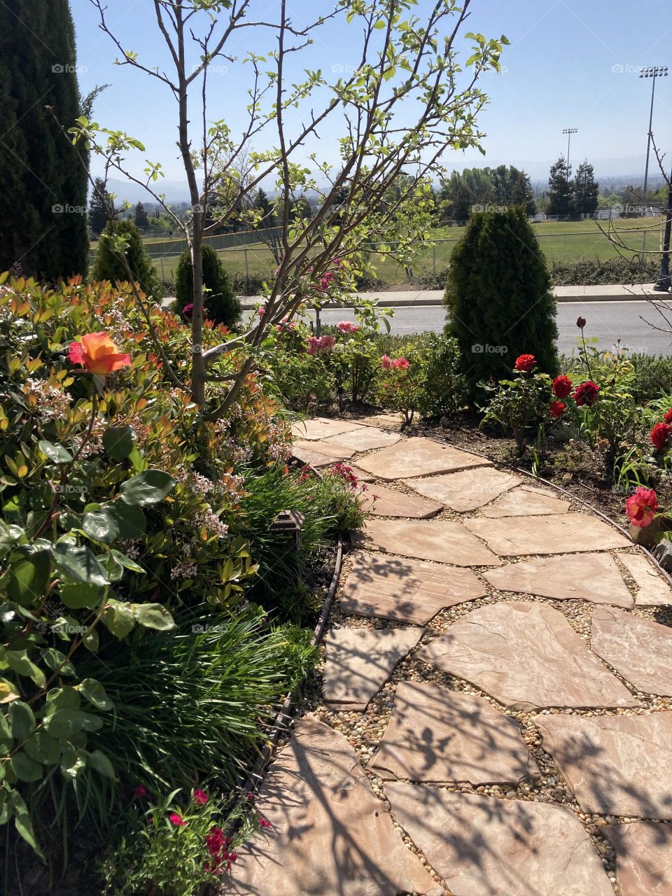 Flagstone garden path 