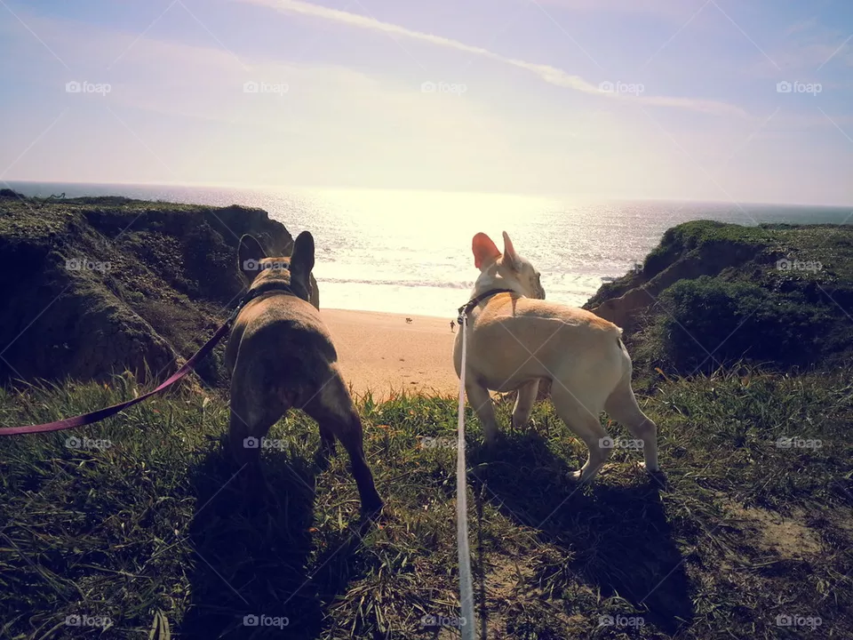 beach view