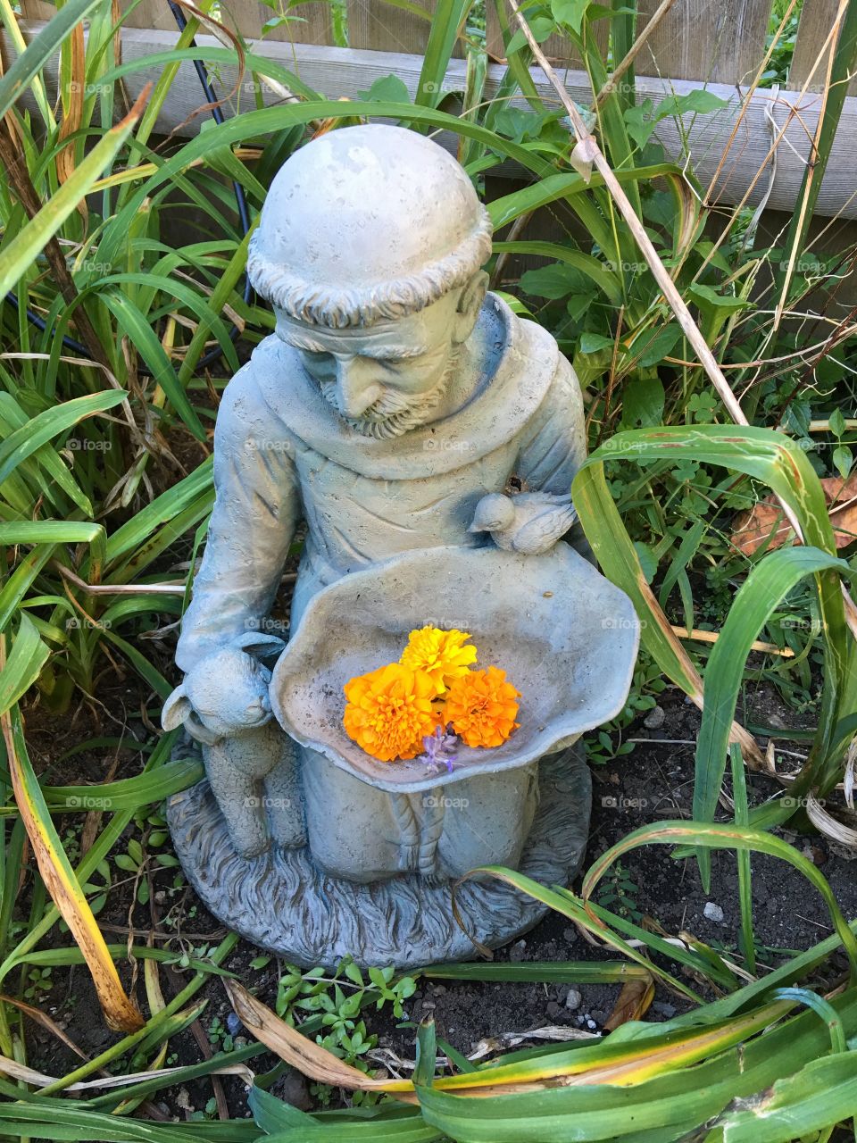 Statue of St. Francis of Assisi, patron saint of all animals!