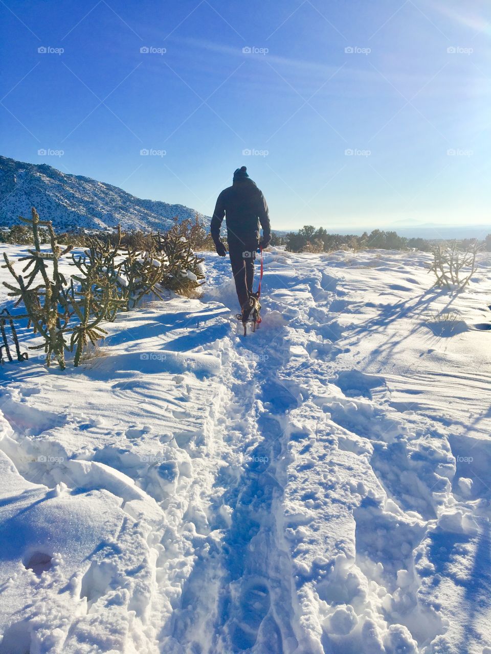 Snow walk