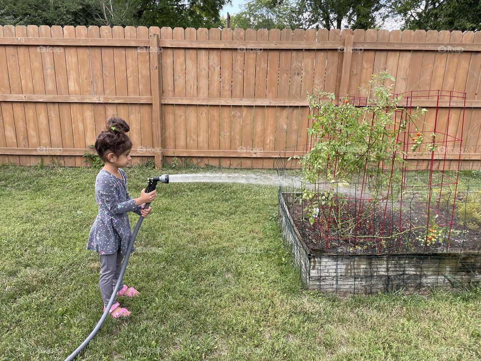 Little girl waters garden for neighbors, toddler girl helps Mommy with chores, watering plants with a hose 