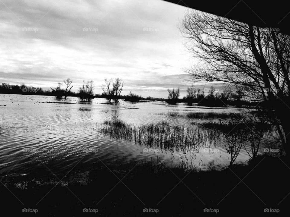 Moody lake in black & white