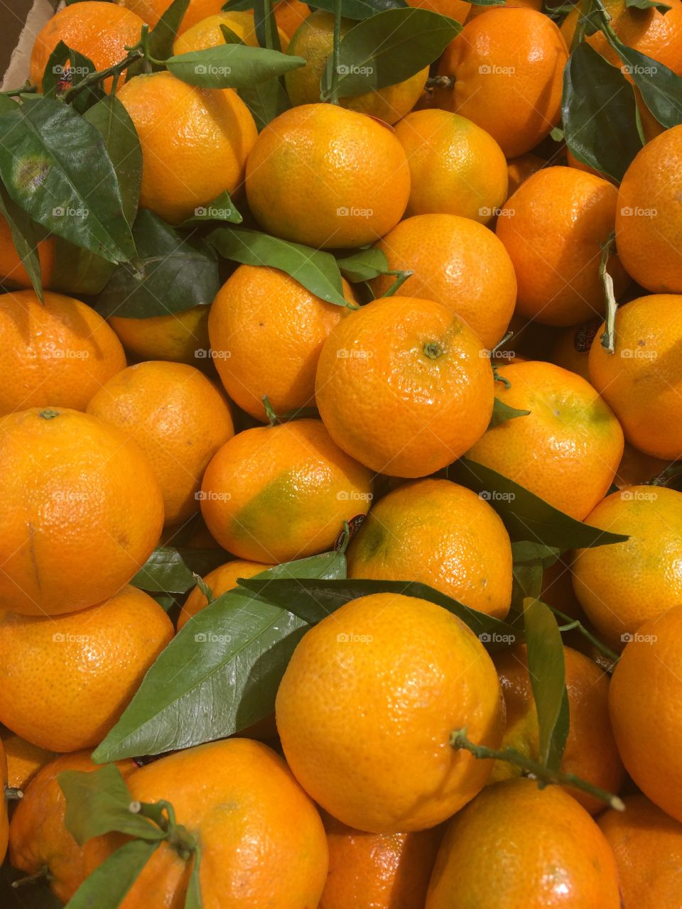 Full frame of oranges