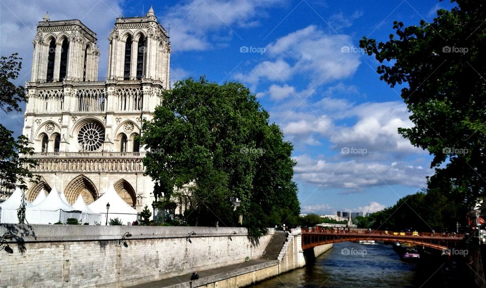 Notre Dame on the Seine 