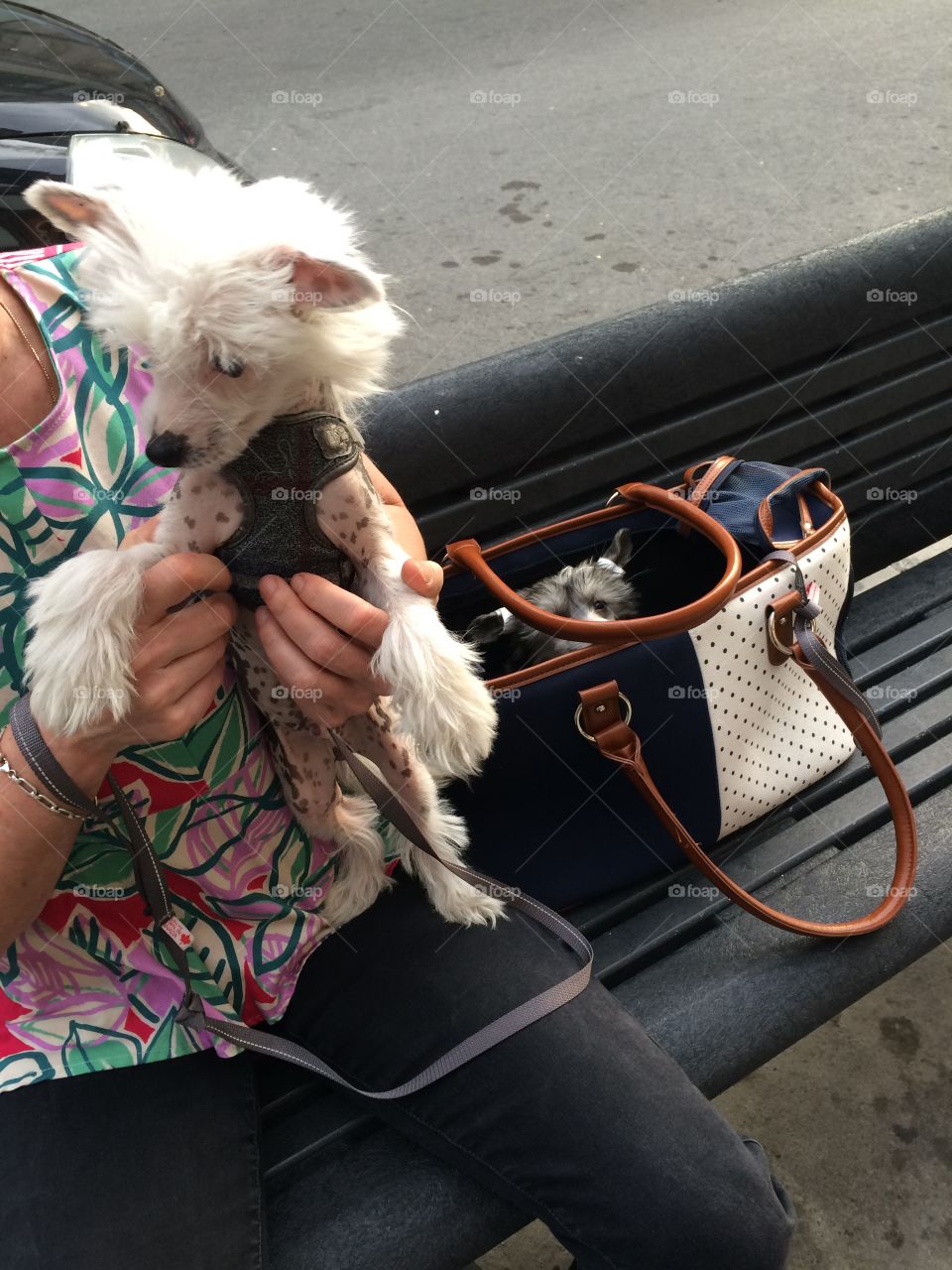 Look in the purse for a surprise! 