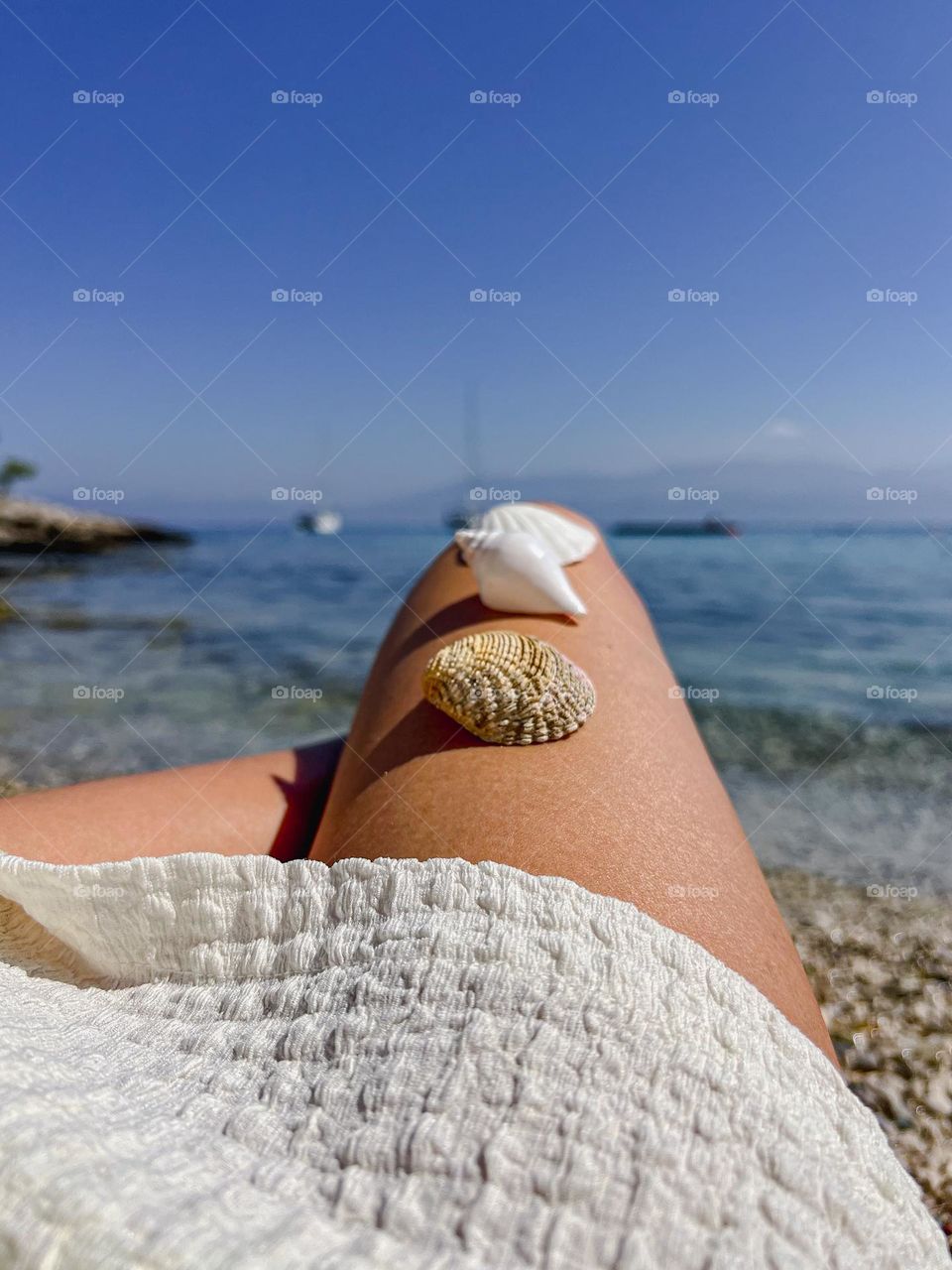 🐚