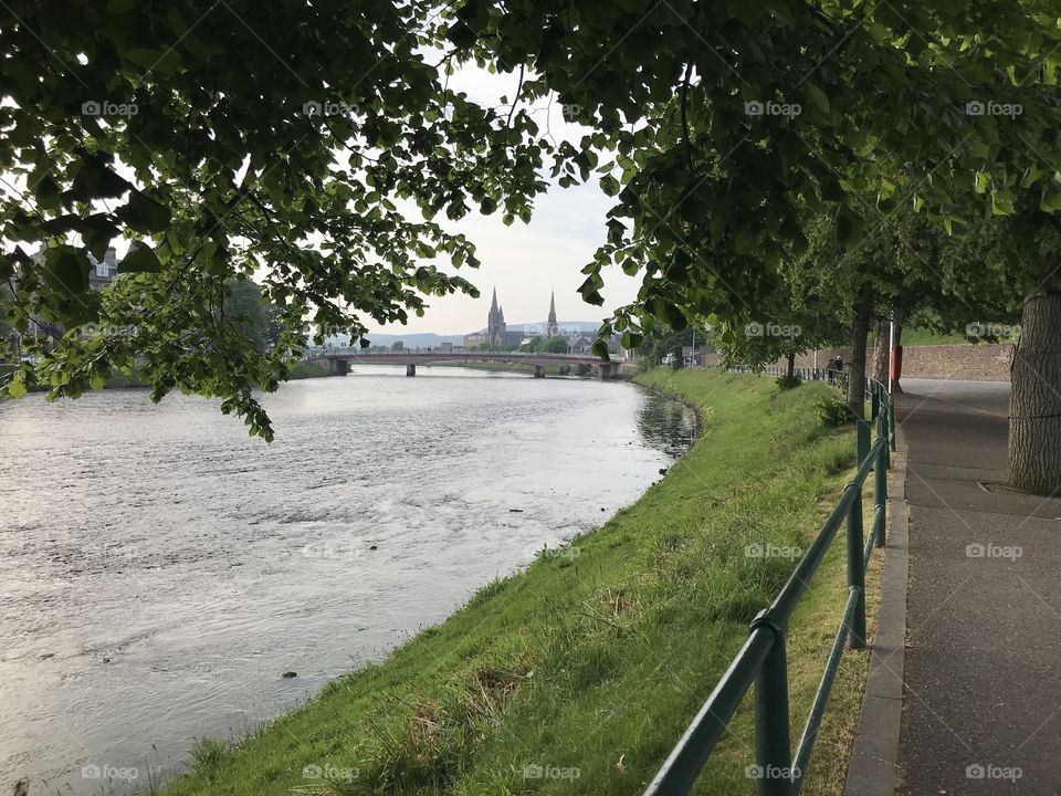 River through the trees