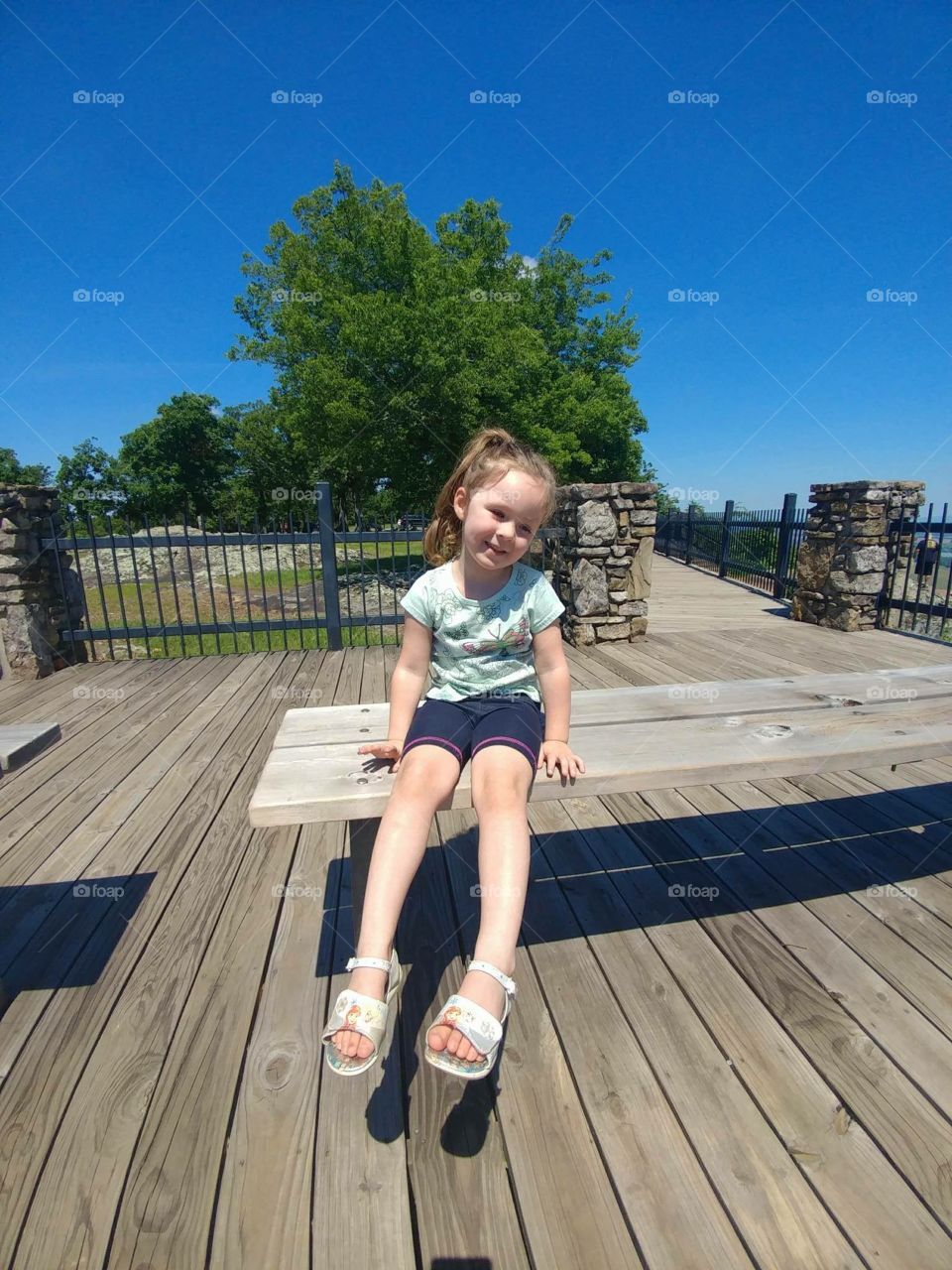 Petit Jean State Park, Lookout 