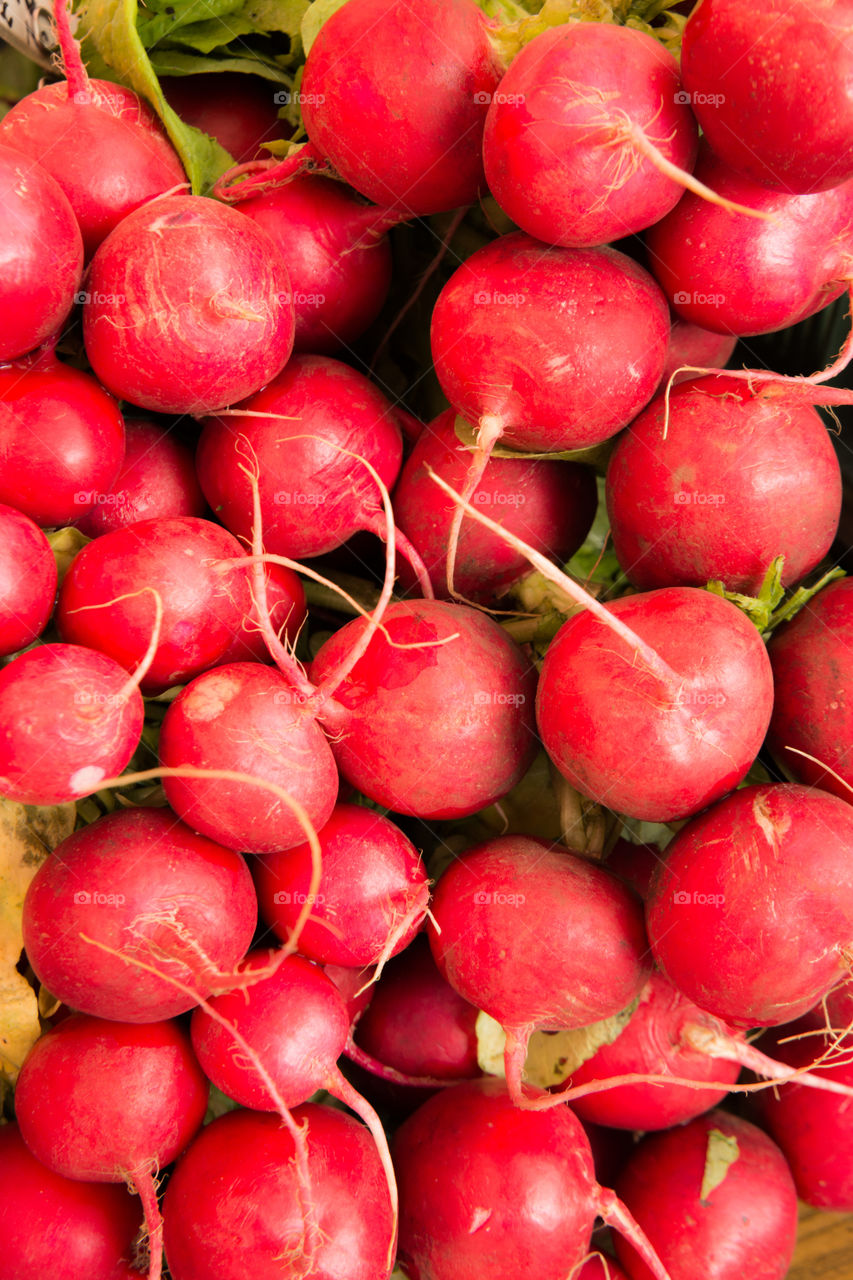 Fresh radishes in abundance