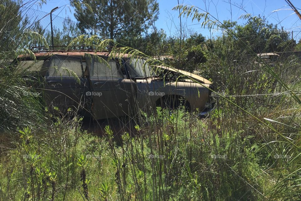 Car graveyard 